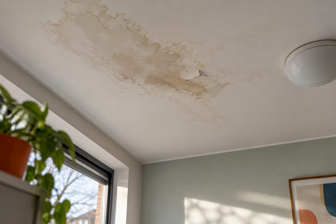 Vochtvlek in het plafond door een daklekkage