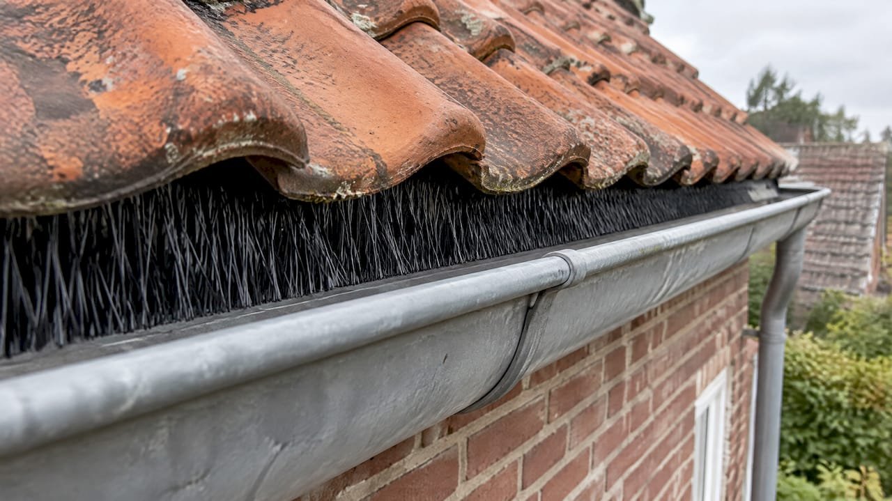 Vogelweringsborstel sluit de opening onder de dakpannen